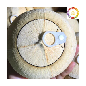 Tender Coconut | Green Husk | Easy Open Lid | Ready to Drink <b>Beverage</b> | OEM Factory Vietnam - Product Image 5