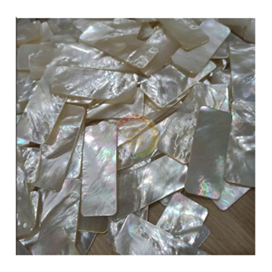 Natural Vietnamese Shell <b>Mosaic</b> Material for Interior Decoration Furniture Inlay and Luxury Design Solutions - Product Image 1