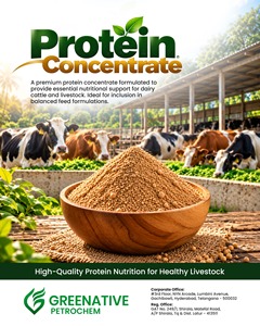 Poudre concentrée de protéines végétales à 70 % pour l'alimentation des bovins et des animaux laitiers |   Aliment pour animaux à base d'extrait de céréales riches en protéines, qualité supérieure | - Product Image 4
