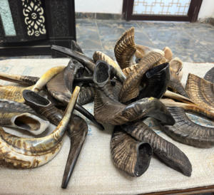 Vente en gros klaxon de Shofar casher klaxon de bélier à sondage naturel pour les fêtes juives klaxon incurvé extra large poli à la main et accordé OEM - Product Image 4