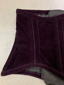 Women's Purple Velour Waist Cincher Firm Shaper Breathable Adults ODM Woven Corset Front Clasps Silver Deep Purple Customizable - Product Image 2