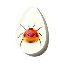 Cabujón de plástico con espécimen real de insecto floral, corte de pera, parte superior de 46x30 mm, base plana brillante para manualidades y fabricación de joyas - Product Image 6