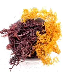 Musgo Marino Orgánico Crudo y Seco, Superalimento Marino Rico en Nutrientes, Suministro a Granel, Empaque en Cartón, Venta al por Mayor, Vietnam - Product Image 3