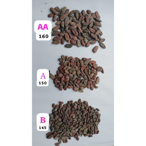 Fèves de cacao de qualité supérieure, vente en gros, approvisionnement en vrac, prêtes à être expédiées, produit d'exportation de haute qualité - Product Image 4