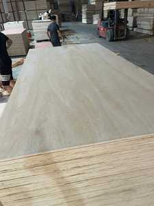 Panneaux de contreplaqué commercial avec âme en eucalyptus, design moderne pour appartement, 1220x2440mm, garantie 1 an, installation sur site - Product Image 2