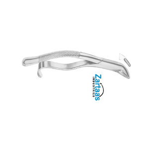 Pince d'extraction en acier inoxydable de haute qualité incisives inférieures, prémolaires fig 103 Fabricant et exportateur - Product Image 5