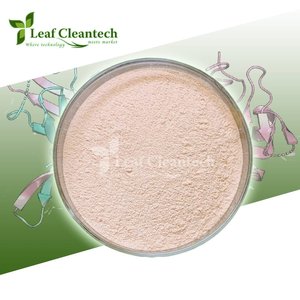 Le fabricant d'enzymes alimentaires de protéase acide de qualité supérieure de Bangalore en Inde offre un approvisionnement en gros sous forme de poudre pour l'alimentation et la nutrition - Product Image 3