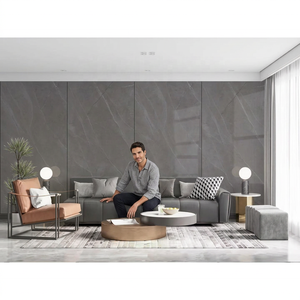 Dalles en pierre frittée Pietra Grey finition mate 1600x3200x20mm, carreaux en porcelaine pour comptoirs extérieurs, dalle de sol en porcelaine - Product Image 1