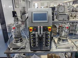 Bailun 7L bioréacteur bio fermenteur bioréacteur en verre de biotraitement évolutif l utilisé pour les BLBIO-GJ de culture microbienne - Product Image 5