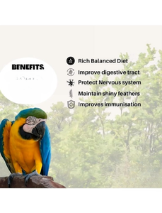 Alimento para Loros y Aves Grandes OEM ODM, Mezcla de Granos Naturales, Alto en Proteínas, Apoyo Inmunológico y Digestivo, Fórmula Personalizada, Marca Privada, a Granel - Product Image 5