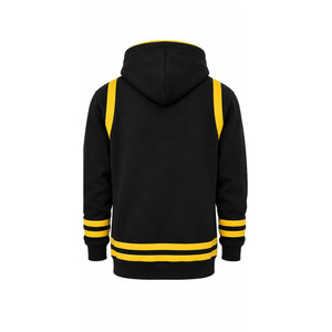 Sweat-shirt à capuche noir pour homme avec imprimé du blason des lettres grecques Alpha Phi Alpha, col raglan et poche - Product Image 6