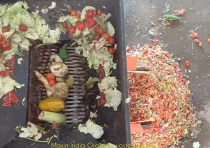 Nueva Trituradora de Residuos Orgánicos de Doble Eje Semiautomática con Capacidad de 1000 kg/h - Product Image 3