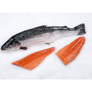 Salmón entero congelado/ Filete de salmón/ Cabeza de salmón en venta - Product Image 3