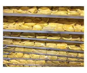 Yaourt lyophilisé très demandé provenant d'un fournisseur vietnamien - Snack au yaourt pour les acheteurs en gros - Product Image 2