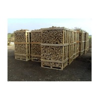 Bois de chauffage de qualité supérieure séché au four / Bois de chauffage de hêtre / Bois de chauffage séché au four sur palettes