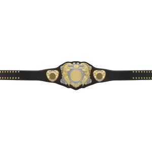 Ceinture de championnat populaire personnalisée pour la lutte, la boxe et le MMA, de qualité professionnelle, à prix abordable - Product Image 4