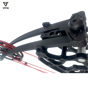 Arc à poulies double usage flèche et balle d'acier 340 <span class=keywords><strong>FPS</strong></span>, arc de <span class=keywords><strong>tir</strong></span> réglable pour la pratique sportive - Product Image 5