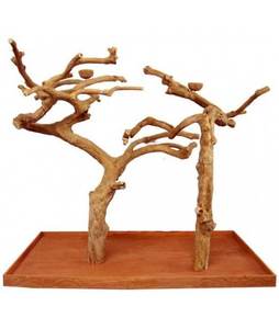 Java Wood Bird Perch Play <b>Stand</b> | Parrot <b>Tree</b> <b>Stand</b> & Bird Accessories Manufacturer Vietnam - Product Image 4