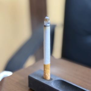 Bâton d'encens en forme de cigarette à la tubéreuse | Bâtonnets d'encens à la tubéreuse en gros | Bâtons d'encens à la tubéreuse au design cigarette - Product Image 1