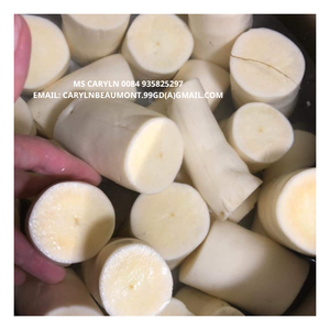 MEJOR OFERTA - RAÍZ DE YUCA CONGELADA ORIGEN VIETNAM EN GRANDES CANTIDADES LISTA PARA EXPORTAR / RAÍZ DE YUCA CONGELADA - CARYLN - Product Image 6