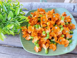 ดอกไม้ด็อกกะจอนดินเผาไทยทำมือระดับพรีเมียม 100 ชิ้น – ดอกไม้ประดิษฐ์สีตามสั่งสำหรับตกแต่งพวงมาลัยและงานดอกไม้แบบไทย - Product Image 2