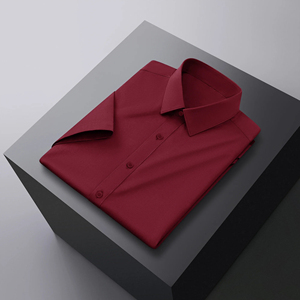 Camisa de Manga Larga Casual de Primavera/Verano para Hombre DAN, Tejida, Anti-Pilling, 100% Algodón Satinado, Cuello con Botones de Doble Hilera - Product Image 6