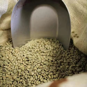 Granos de Café Robusta Tostados de Primera Calidad de Vietnam, Tamaño 16, Certificación ISO 22000, Grado G1 G2, Suministro a Granel TNFOOD - Product Image 1