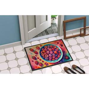 Tapis de porte lavable antidérapant à poils bas de framboises colorées 24H X 36W tapis d'entrée extérieur intérieur pour porte d'entrée 24H X 36W - Product Image 4