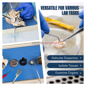 Instrumento de Disección Seeker con Punta Angular Semi-Afilada, Hecho de Acero Inoxidable de Alta Calidad, Duradero, Resistente al Óxido, Herramienta de Precisión - Product Image 3