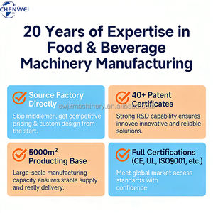 Línea de Producción de Queso en Trozos, Maquinaria para la Producción de Queso - Product Image 6