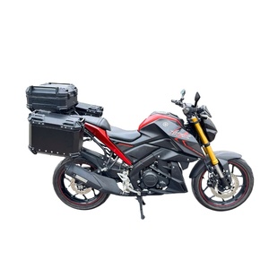 Mbiker TFX Steel Crash Protector Side Pannier Frame for Dual Sport Street Motorcycles-Smart Storage Solution 1 Year Warranty - Product Image 3