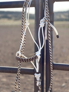 Cabestro de Nailon Clásico Personalizado para Montar a Caballo, Diseño de Color Personalizado, Logotipo Personalizado a Precio de Mayoreo - Product Image 3