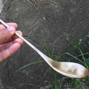 Cuillère de service haut de gamme en corne de buffle naturelle, écologique, pour fêtes et mariages - Product Image 1