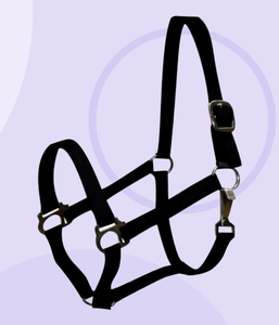 Cabestro de Cuero para Caballo de Primera Calidad, Doble Costura, Personalizado |   Cuerda Ajustable de Nailon PP |   Equitación Duradera y Cómoda - Product Image 3