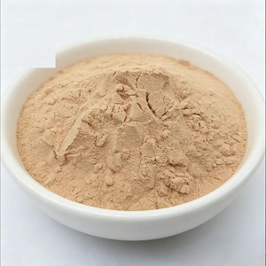 Poudre de Bacillus Subtilis à forte demande 10-200 milliards d'UFC/g Culture de fermentation naturelle pour applications agricoles à vendre - Product Image 3