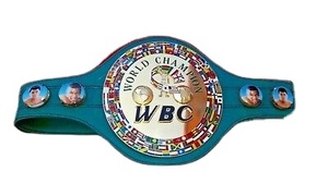 Ceintures de championnat de lutte de qualité supérieure, en cuir lourd, avec logo personnalisé - Product Image 5