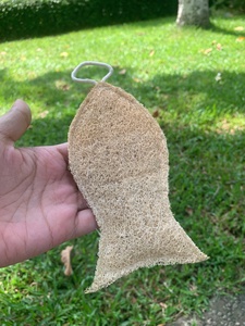 Éponge de bain en loofah naturelle séchée, en forme de poisson, exfoliante pour le corps, pour adultes, style simple, écologique, biodégradable - Product Image 1