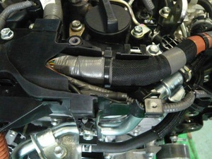 Conjunto de Motor Diésel 1GD FTV, Unidad Completa, Alta Calidad, Usado, Origen Japón - Product Image 6