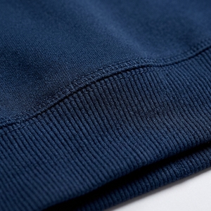 Custom Front Logo 350gsm <b>Lined</b> 100% Polyester <b>Fleece</b> O-Neck Regular Fit Windproof Breathable <b>Sweatshirt</b> Plain Dyed Spring Men - Product Image 5