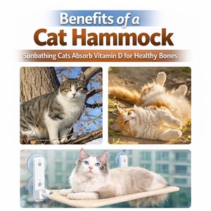Wholesale Rectangle Modern <b>Cat</b> Window <b>Perch</b> Bed Suction Cup Hanging Hammock Shelf for Living Room Sunbathing OEM/ODM - Product Image 5