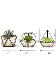 Terrarium en verre élégant et transparent pour plantes d'intérieur, succulentes, plantes aériennes ou miniatures - Product Image 4