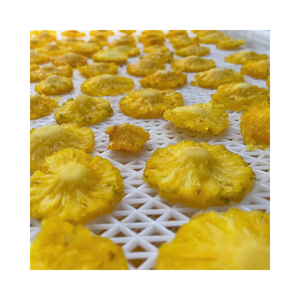 Ananas séché premium du Vietnam, fruit tropical naturellement sucré pour les importateurs en gros et les distributeurs alimentaires - Product Image 6