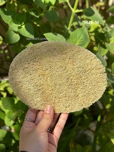High Quality Natural Loofah <b>Scrubber</b> Single Soft Layer Pad Customizable Size Vietnam Farm Grown OEM Packaging Wholesale Export - Product Image 3