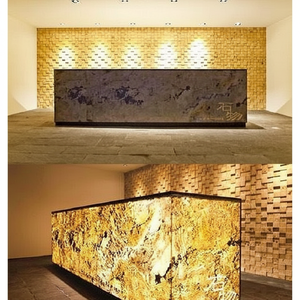 Revestimiento de Piedra Natural Moderno 100% Ecológico, Resina de Pizarra Blanca Brasileña, Grosor de 1-1.5 cm, Duradero, para Paredes Exteriores/Interiores - Product Image 6