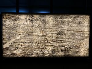 Revestimiento de Piedra Flexible Translúcido Forest Fire, Bloques de Piedra Duraderos y Ecológicos para Decoración Interior y Exterior de Escuelas y Villas en India - Product Image 4