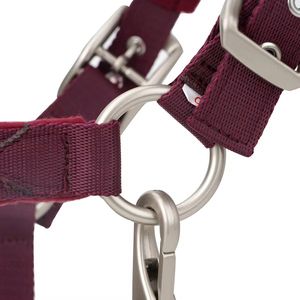 Soft <b>Cushion</b> Velvet Horse Halter – Extra Comfort Premium Gear - Product Image 5