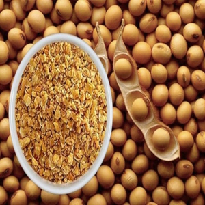 กากถั่วเหลือง GMO คุณภาพพรีเมียม วัตถุดิบอาหารสัตว์ ขายส่งจำนวนมาก พร้อมจัดส่งทั่วโลก - Product Image 4