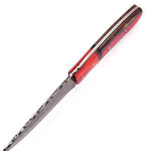 Couteaux de chasse professionnels sur mesure, haut de gamme, faits à la main en acier, manche en bois, qualité industrielle, pour le camping et la survie, avec étui. - Product Image 2