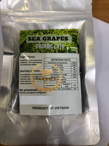 Umidibúdo (Umidibúdo Lato) de Vietnam: Algas de Uva de Mar Deshidratadas, Precio Económico, Naturales, Venta al por Mayor, Caviar Verde - Product Image 6