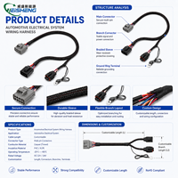 Faisceau de câblage personnalisé Plug and Play avec gaine tressée pour module de commande de mise à niveau de véhicule